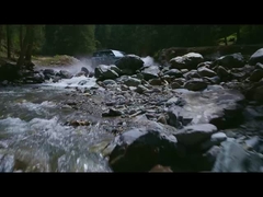 پلنگ پنجم در آب