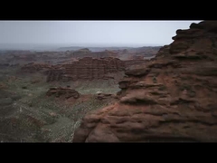 پلنگ 5 در کوهستان