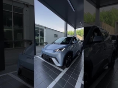 بی وای دی مرغ دریایی